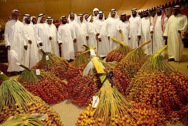 椰枣一天吃几个比较好