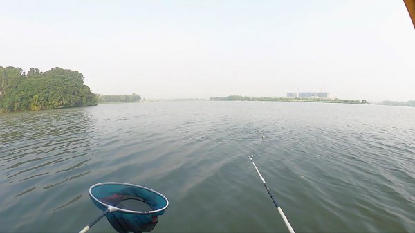 用玉米钓翘嘴怎样让翘嘴连口