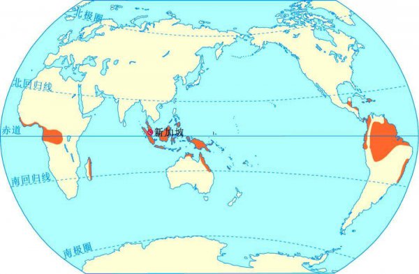热带雨林气候特点