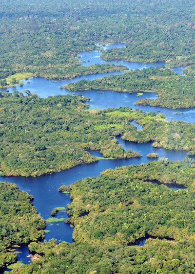 热带雨林气候特点
