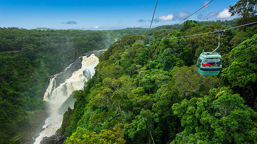 热带雨林气候特点