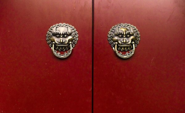 坟地栽树大忌讲究