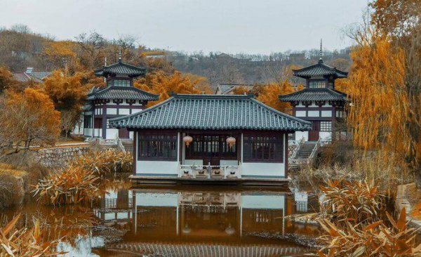 坟地栽树大忌讲究