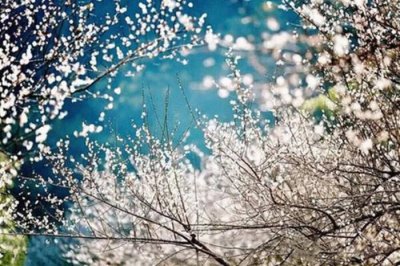 冷门又惊艳的诗词有哪些 盘点汇总很小众却很惊艳的诗词