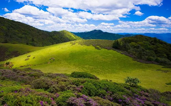 冷门又惊艳的诗词有哪些