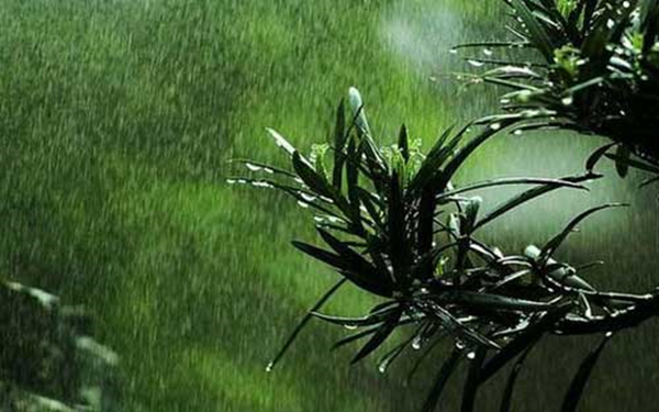 冷门又惊艳的诗词有哪些