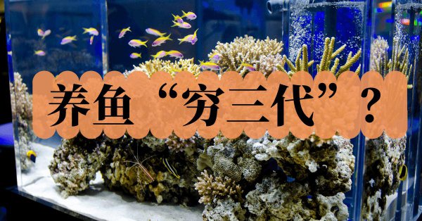 养鱼穷三年为什么