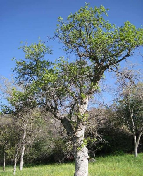 生活中还有哪些辨别方向的方法