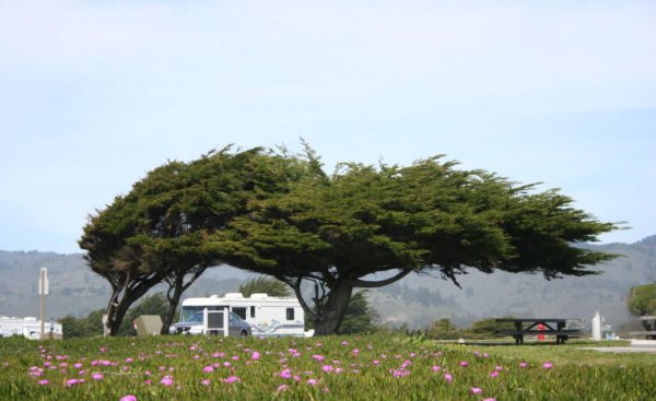 生活中还有哪些辨别方向的方法