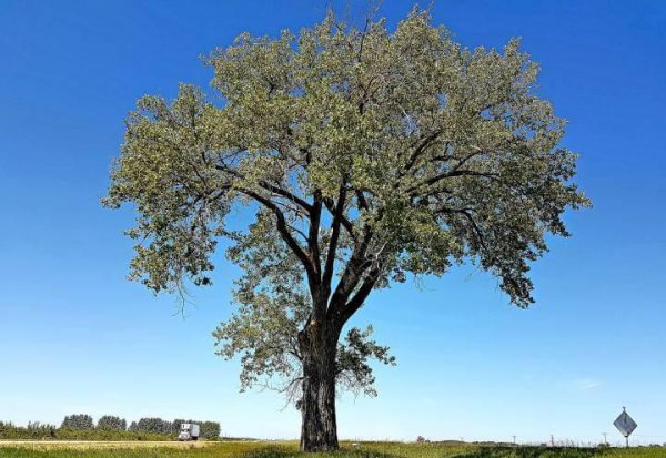 生活中还有哪些辨别方向的方法