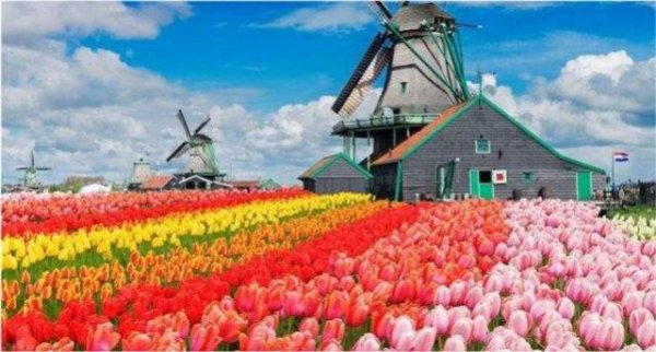 冬奥会的由来简单介绍