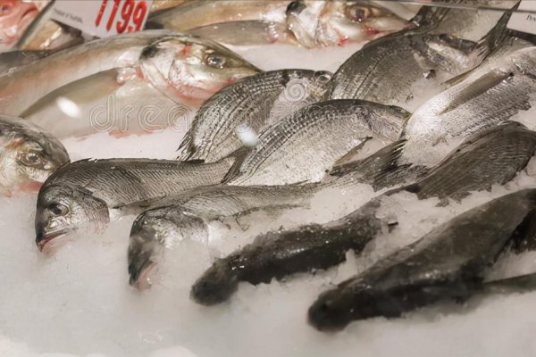 解冻鱼的最快方法是什么