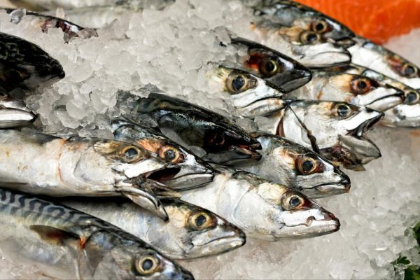 解冻鱼的最快方法是什么