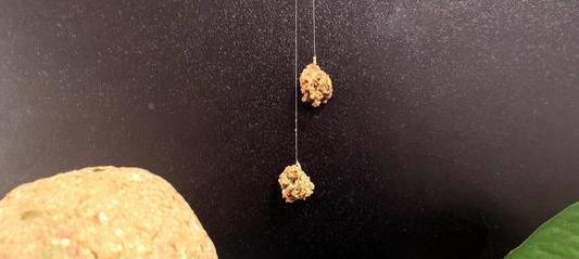 拉丝粉的正确用法