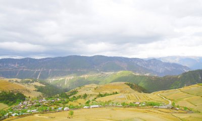 四荒地指的是什么 四荒地指的是哪四荒可以对外承包吗