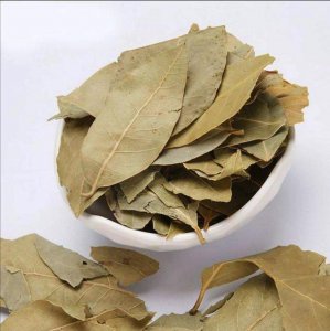 香叶是什么树的叶子 调料中的香叶是一种怎样的植物