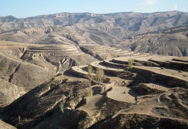 不长植物的地方是什么之地