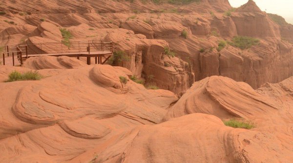不长植物的地方是什么之地