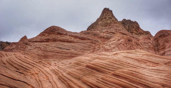 不长植物的地方是什么之地