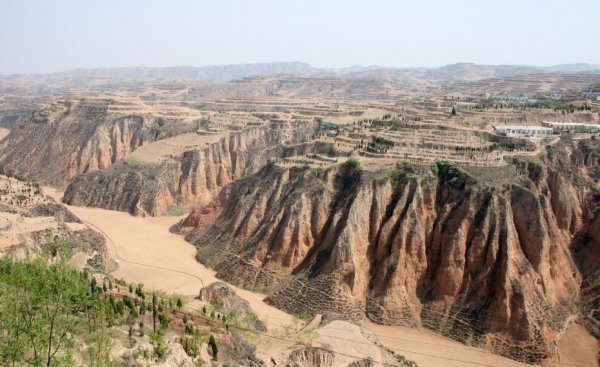 不长植物的地方是什么之地