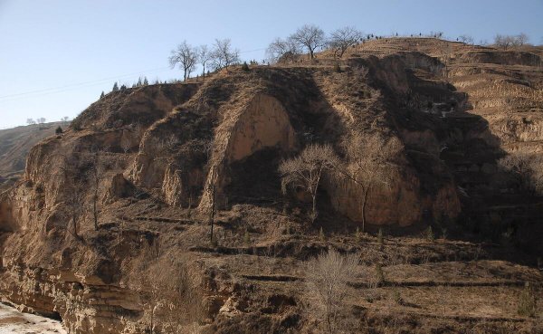不长植物的地方是什么之地