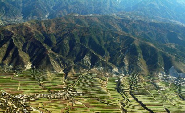 不长植物的地方是什么之地