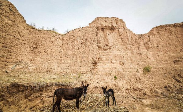 不长植物的地方是什么之地