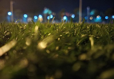 揠苗助长告诉我们什么道理 揠苗助长所蕴含的哲学道理