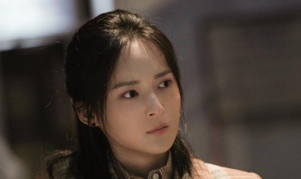 乔家的儿女小茉和陈主任结局