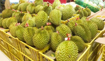 榴莲为什么这么贵呢 榴莲卖的这么贵的原因是什么