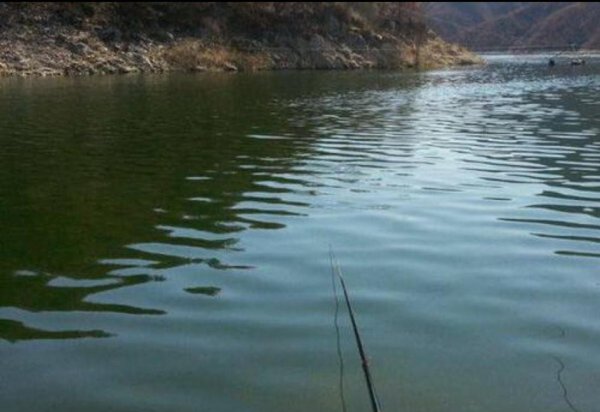 水库钓鲫鱼方法和技巧