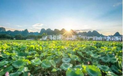 上海气候类型及特点 上海和广州的气候差异有哪些