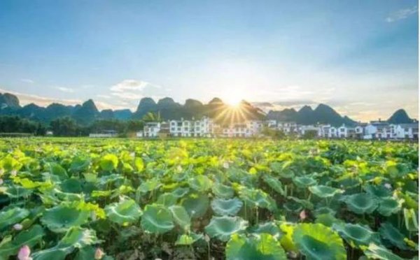 上海气候类型及特点