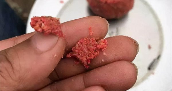 春天钓鲫鱼用什么饵料最好