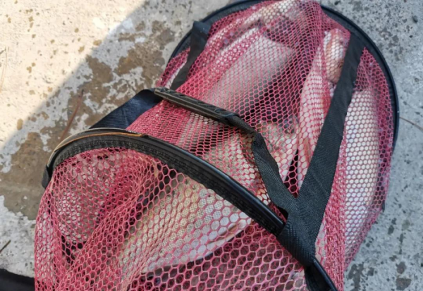 钓鲢鳙用多大的线组