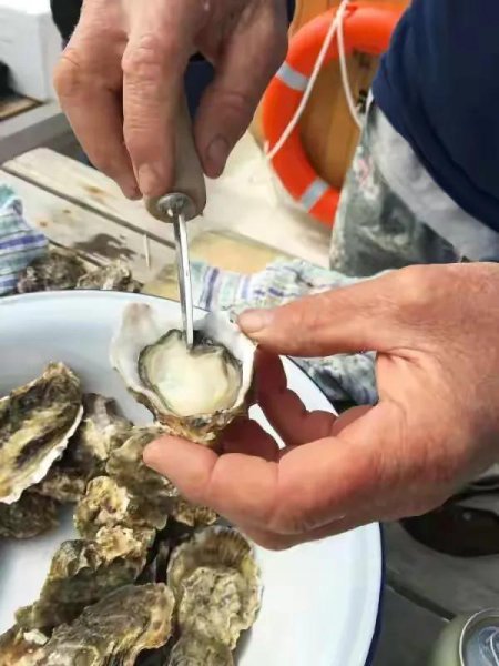 生蚝什么时候吃季节吃最好