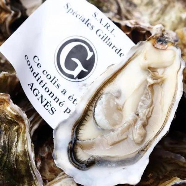 生蚝什么时候吃季节吃最好