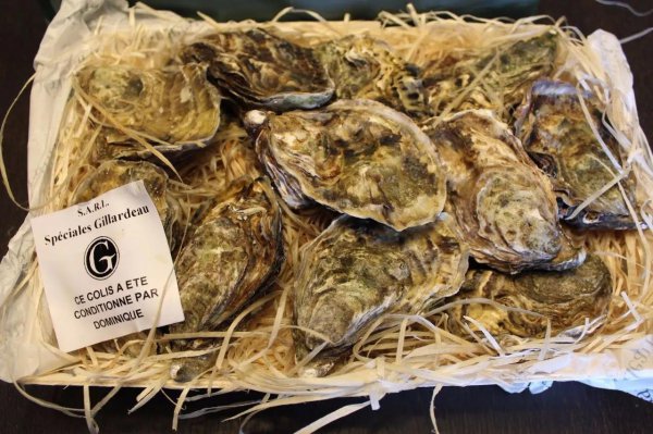 生蚝什么时候吃季节吃最好