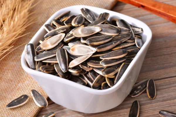 仓鼠吃什么东西为主食