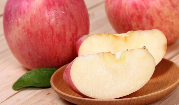 仓鼠吃什么东西为主食