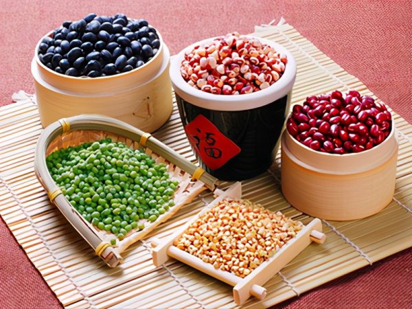 仓鼠吃什么东西为主食