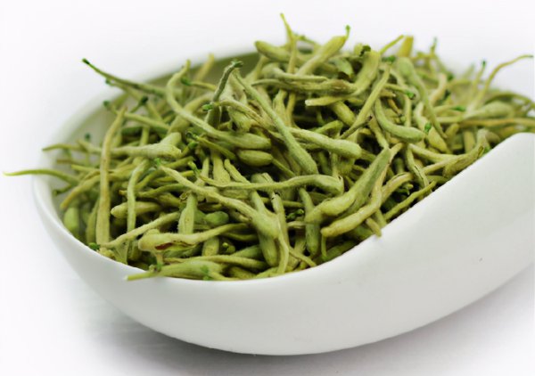 仓鼠吃什么东西为主食