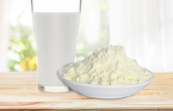 仓鼠吃什么东西为主食