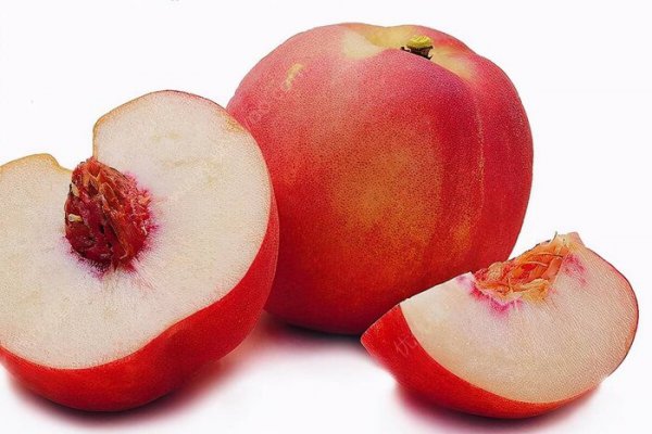 仓鼠吃什么东西为主食