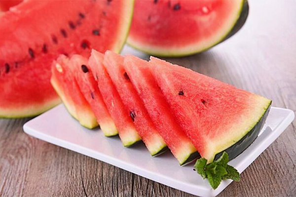 仓鼠吃什么东西为主食