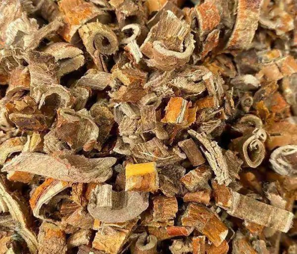 桑黄2000元一斤是真是假