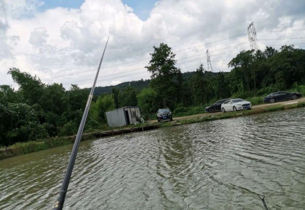 阿波钓法图解是怎么钓的