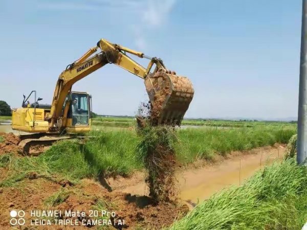 为什么龙虾养殖10有9亏