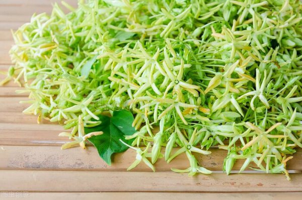 长得好看却有毒的花有哪些