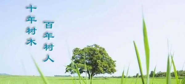 十年树木百年树人比喻什么